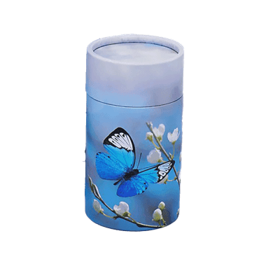 Butterfly Blossum