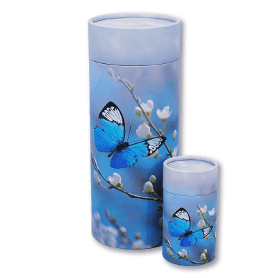 Butterfly Blossom
