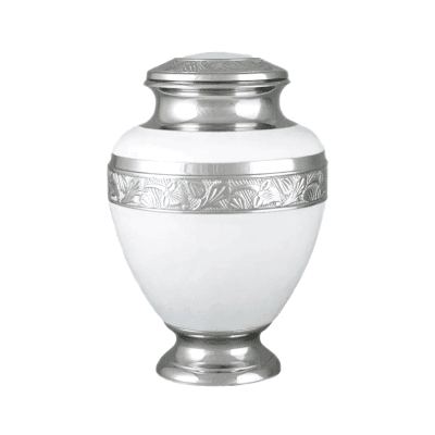 Elegant Pearl White