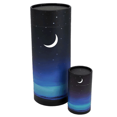 Starry Night