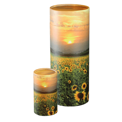 Sunflower Fields