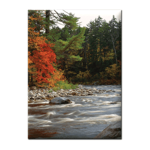 Custom Photo Memory Card